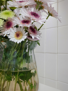 玻璃瓶菊花