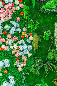 鲜花植物墙