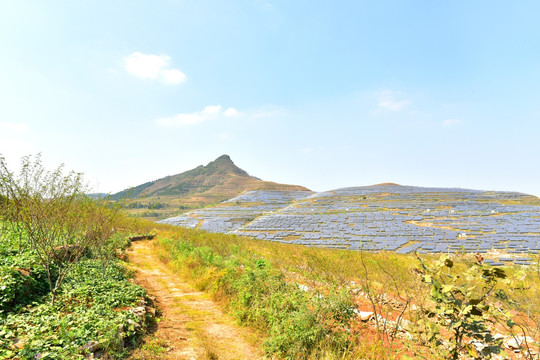 光伏发电基地产业园太阳能发电