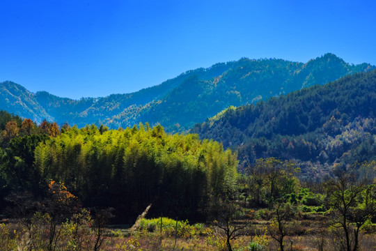 圣人堂村