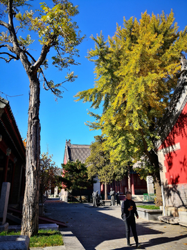 长椿寺