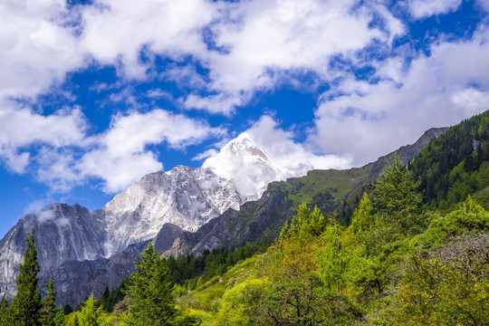 四姑娘山