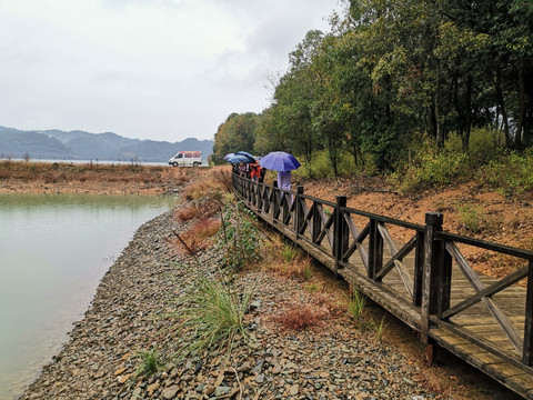 雨中