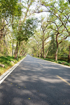 空荡荡的道路