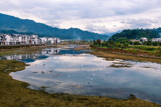 婺源江湾河湾白鹭