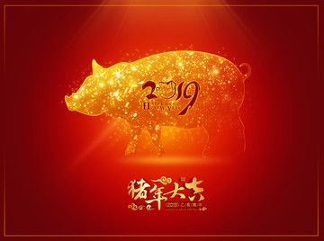 2019豬