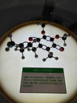 分子结构模型