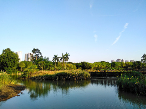 平静的湖面