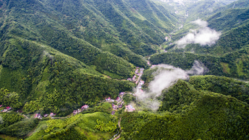 红桃村