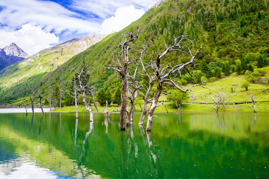 高山湖泊