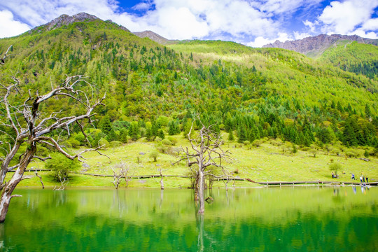 高山湖泊