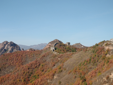 山间红叶