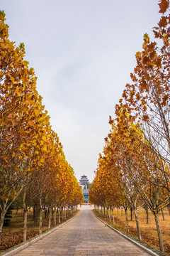 云门山森林公园