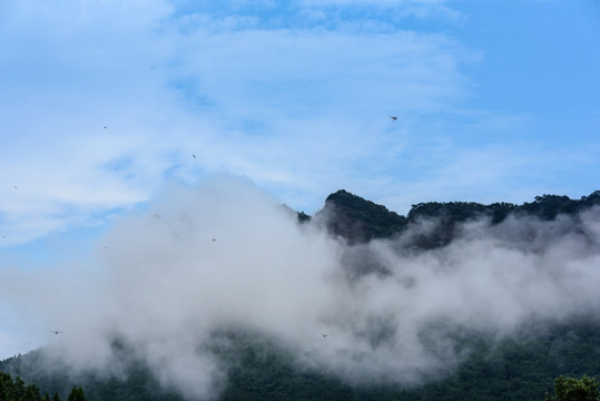 剑门关云雾山峰