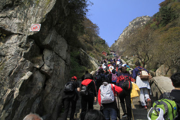 登泰山