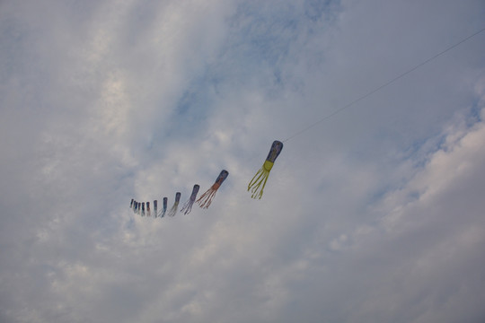 天空中的风筝