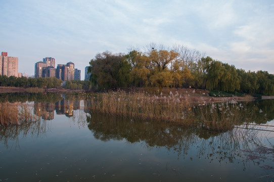 城市休闲景观