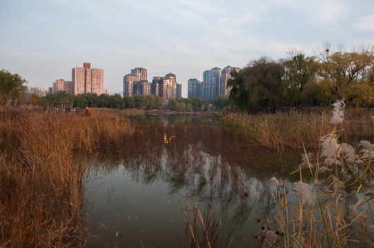 城市休闲景观