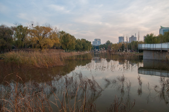 城市休闲景观