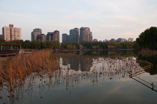 城市休闲景观