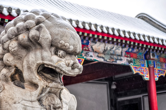 中国北京清华工字厅石狮子