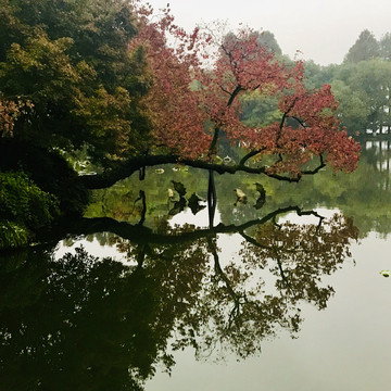 西湖湖心岛