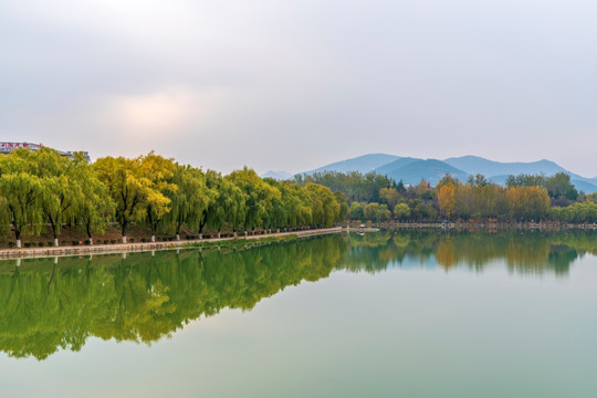 唯美南阳湖秋色风景