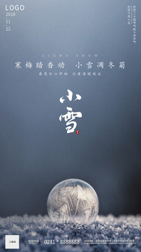 小雪大雪海報
