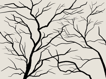 树枝抽象装饰画