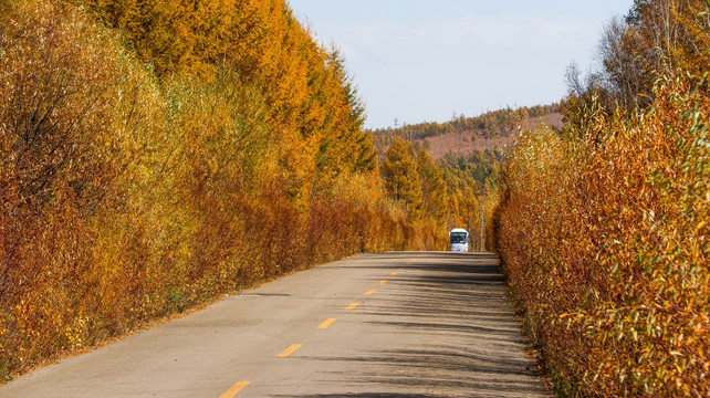 阿尔山景观道路