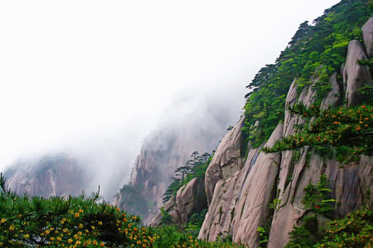 水墨黄山