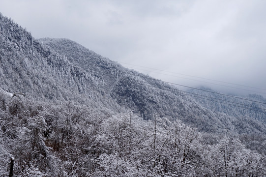 雪山雾凇