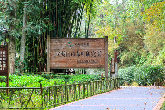 武夷山市茶叶研究所指示牌