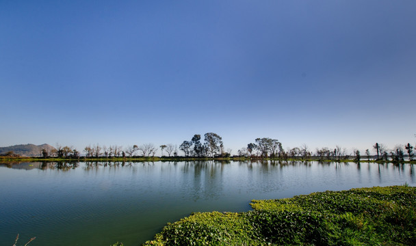 滇池湿地风光