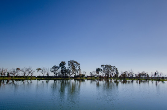 滇池湿地水天一色