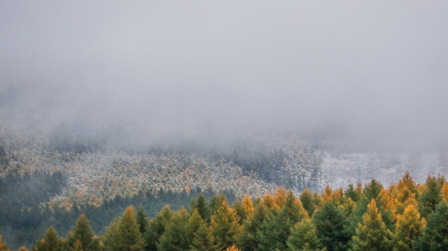 阿尔山雪景