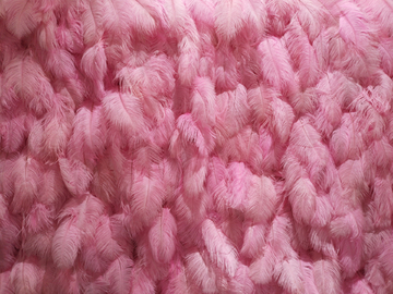 粉色羽毛装饰墙