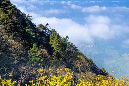 江西九江庐山地质公园深秋