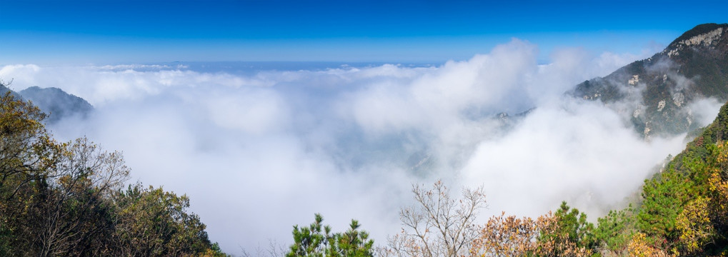 江西九江庐山地质公园深秋