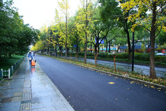 杭州西湖区西溪路秋景