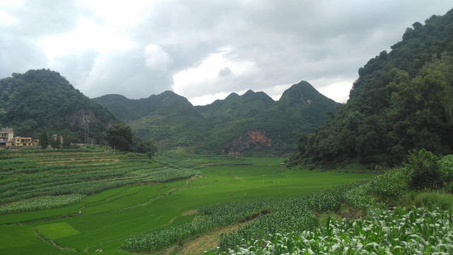 平寨乡六桂六桂