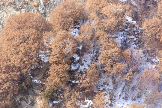 陕西华山雪景风光