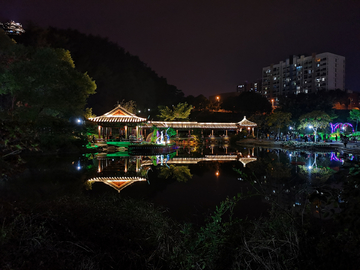 南平菊花展夜景