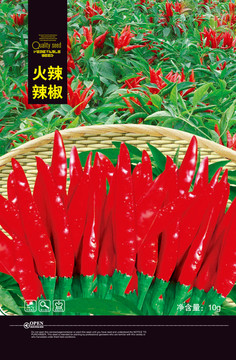 辣椒朝天椒