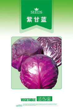 甘藍
