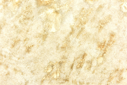 条纹金线米黄大理石贴图