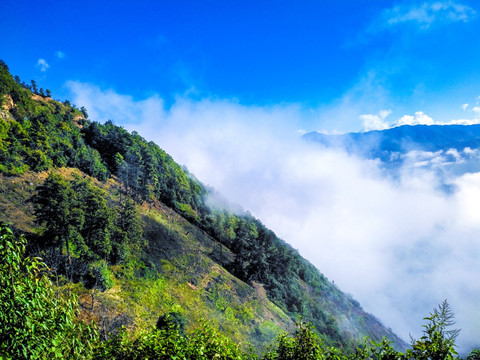 绿水青山