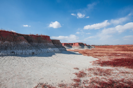 大同土林