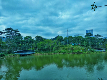 大运中心湖畔风景