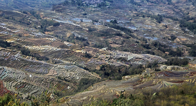 元阳哈尼梯田